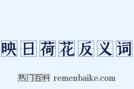 映日荷花反义词是什么意思的图片